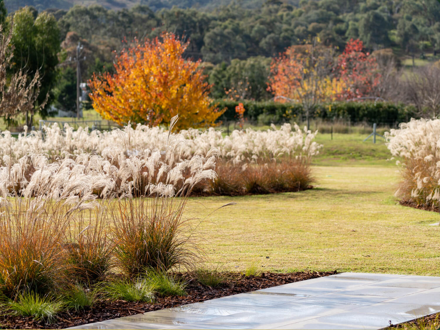 LM Landscaping & Irrigation By BEAL Creative.